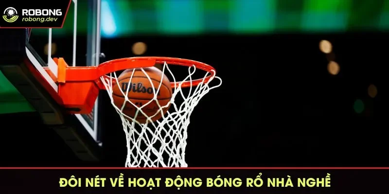 Hoạt động bóng rổ nhà nghề sôi nổi