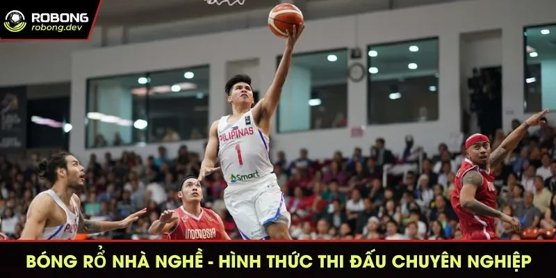 Bóng rổ nhà nghề