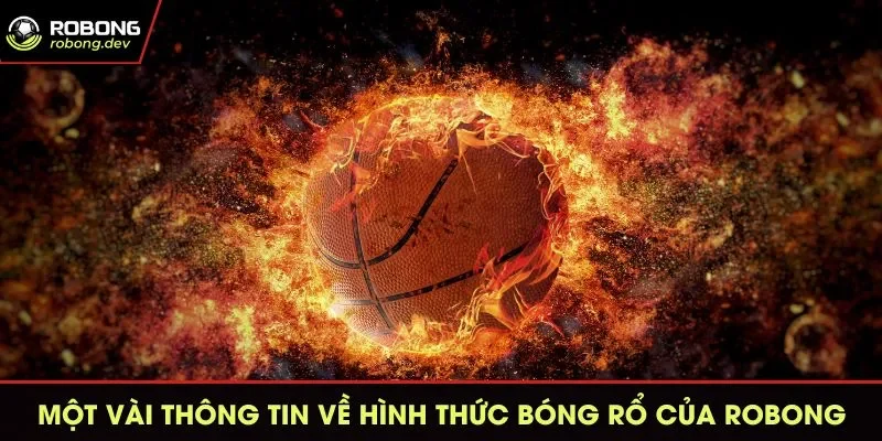 Một vài thông tin về hình thức bóng rổ của Robong