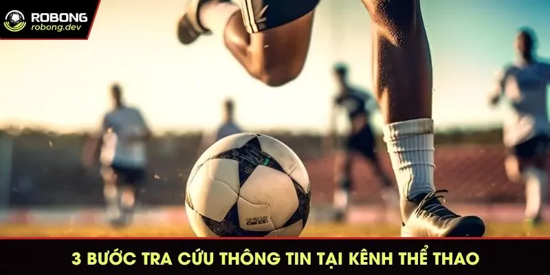 3 bước tra cứu thông tin trên chuyên mục