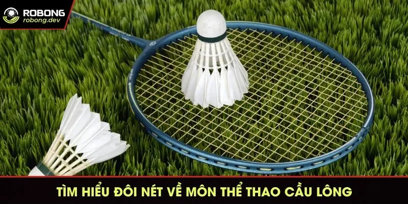 Tìm hiểu đôi nét về môn thể thao Cầu Lông