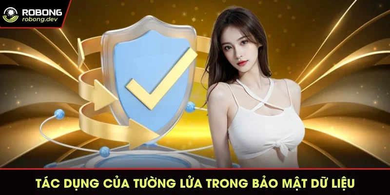 Tác dụng của tường lửa trong bảo mật dữ liệu