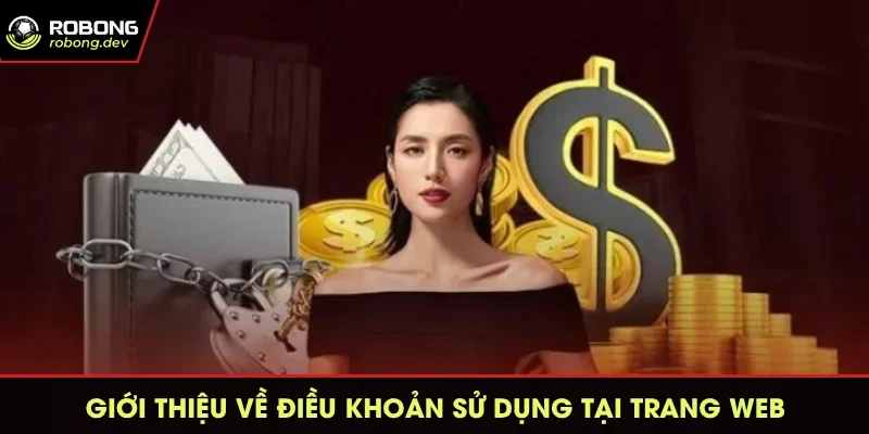 Giới thiệu về điều khoản sử dụng tại trang web