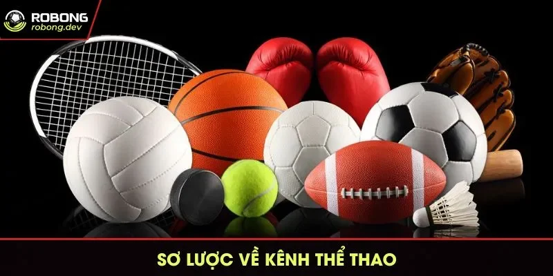 Sơ lược về chuyên mục kênh thể thao