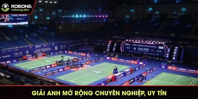 Hệ thống quy định của giải chuyên nghiệp, thống nhất 