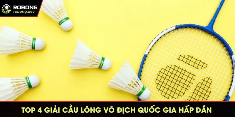 Giải cầu lông vô địch quốc gia