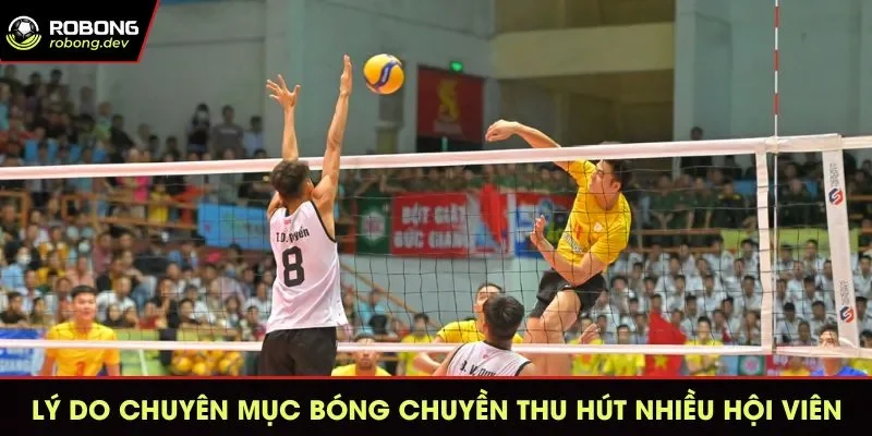 Phân tích chi tiết về các ưu điểm tuyệt vời của chuyên mục