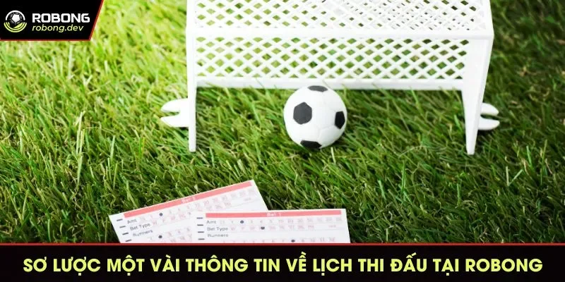 Sơ lược một vài thông tin về lịch thi đấu tại Robong