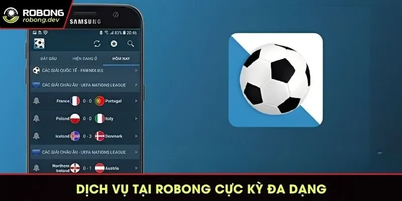 robong-dich-vu-da-dang