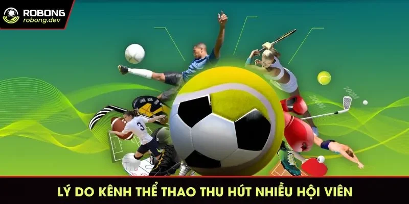 Chuyên mục sở hữu nhiều ưu điểm nên có sức hút lớn